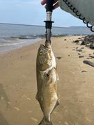 The Saltwater Edge Boga Grip - Fish Gripping Tool and Scale Review