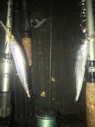 The Saltwater Edge Megabass Ito Vision 110 Jerkbaits Review