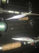 The Saltwater Edge Megabass Ito Vision 110 Jerkbaits Review