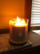 Vinaya Prosperity Crystal Infused Candle Review