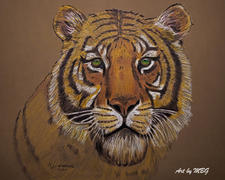 Ann Kullberg Mark Menendez: Bengal Tiger Colored Pencil Tutorial Review