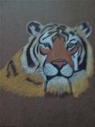 Ann Kullberg Mark Menendez: Bengal Tiger Colored Pencil Tutorial Review