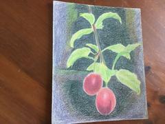 Ann Kullberg Sunlit Cherry Plums Tutorial - Free Download Review