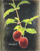 Ann Kullberg Sunlit Cherry Plums Tutorial - Free Download Review