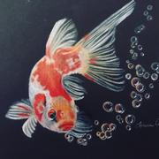 Ann Kullberg Colorful Koi: In-Depth Colored Pencil Tutorial Review