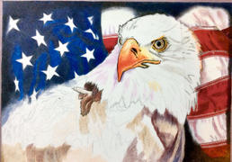 Ann Kullberg American Spirit: In-Depth Colored Pencil Tutorial Review