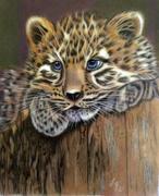 Ann Kullberg Painting in Colored Pencil: Sweet Things by Cynthia Knox Review