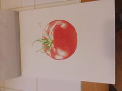 Ann Kullberg Jumpstart Level 1: Ripe Tomato in Colored Pencil Review
