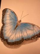 Ann Kullberg Jumpstart Level 1: Blue Butterfly in Colored Pencil Review