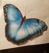 Ann Kullberg Jumpstart Level 1: Blue Butterfly in Colored Pencil Review