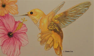 Ann Kullberg Jumpstart Level 3: Golden Hummingbird Review