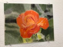 Ann Kullberg Rose: In-Depth Colored Pencil Tutorial Review