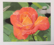 Ann Kullberg Rose: In-Depth Colored Pencil Tutorial Review