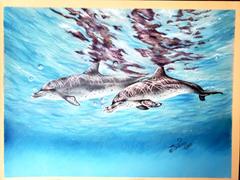 Ann Kullberg Dolphins: In-Depth Colored Pencil Tutorial Review