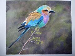 Ann Kullberg Lilac Breasted Roller - Pajama Class with Cynthia Knox Review