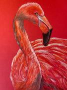 Ann Kullberg Mark Menendez: American Flamingo Water-Soluble Colored Pencil Tutorial Review