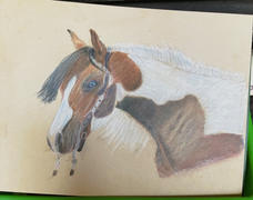 Ann Kullberg Painted Pony: In-Depth Colored Pencil Tutorial Review