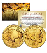 Proud Patriots 2022 24K Gold Clad $50 AMERICAN GOLD BUFFALO Indian Head TRIBUTE Coin Review