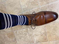 Southern Scholar The Blue Herons - A Deep Blue Sock with White and Black Stripes Review