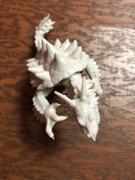 Pippd Reaper Miniatures Dragon Tortoise #77334 Bones Unpainted Plastic RPG Mini Figure Review