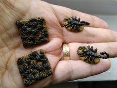 Pippd Reaper Miniatures Scarab Beetle Swarm (2) #02492 Dark Heaven Unpainted Metal Review