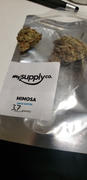 My Supply Co. Mimosa Sativa Review