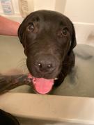 My Supply Co. Puppy Love CBD Bath Bloom - 100mg Review