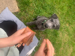 Sbri Personalised Leather Dog Treat Pouch Review
