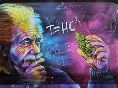 SMOKEA® V Syndicate Einstein Classic Metal Rolling Tray Review