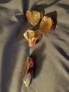 SMOKEA® Empire Glassworks Small Ladybug Spoon Pipe Review