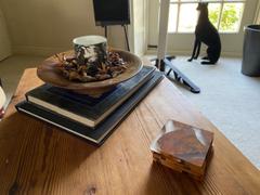 Chase and Wonder The Jungle Luxury Scented Ceramic Candle Review