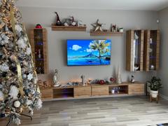 Meble Furniture Fly E 33TV Wall Mounted Floating Entertainment Center Review