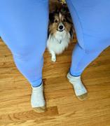 Parade Lightweight Leggings | Archive New:Cotton Review