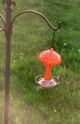 Grateful Gnome Red and Orange Mushroom Hummingbird Feeders - 32 Fluid Ounces Review