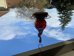 Grateful Gnome Gnarly Glass Neck Gourd Hummingbird Feeder - 16 Fluid Ounces Review