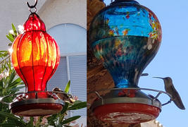 Grateful Gnome Red Lantern - Hummingbird Feeder - Hand Blown Glass - 28 Fluid Ounces Review
