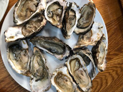 Greenfish Large Fresh Oysters | Live Box | Farmed on the West Coast | x12 Review