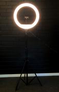 Nordic ProStore Snapsy Ring Light 18 (210 cm) Review