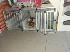 Nordic ProStore Trekker Cage de transport chien XXL 104x90.5x69.5cm Review