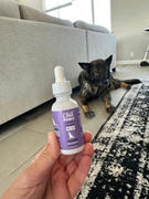 Chill Paws  1000MG FULL SPECTRUM CBD OIL FOR DOGS Review