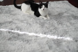 LuxFluff Shaggy & Fluffy Area Rug Review