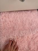 LuxFluff Solid Shaggy & Fluffy Area Rug Review