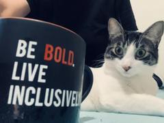 Live Inclusively® by The Winters Group Be BOLD Live Inclusively® Mug (15 oz) Review