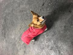 La Tienda de Frida & Chelsee Chaleco Impermeable para Perros - Aira™ en Rojo de Ruffwear® (Descontinuado) Review