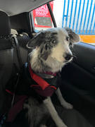La Tienda de Frida & Chelsee Dirtbag Seat Cover Granito - Hamaca y Cubre Asientos para Coches de Ruffwear® Review