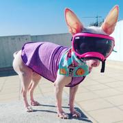 La Tienda de Frida & Chelsee Camiseta Protectora Para Perros Sun Shield - Púrpura Review