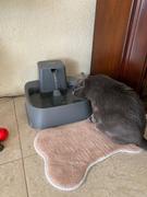 La Tienda de Frida & Chelsee Drinkwell® Fuente de 2 Galones (7.6 lts) -Fuente de Agua Automática para Perros Review