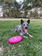 La Tienda de Frida & Chelsee Camp Flyer Disco y Plato para Perros Rosa Pitaya de Ruffwear® Review