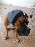 La Tienda de Frida & Chelsee Protectores Auditivos de Orejas Para Perros en Negro Rex Specs Review