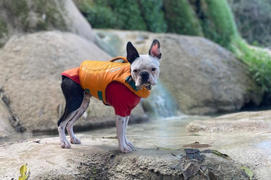 La Tienda de Frida & Chelsee Undercoat® Chamarra para Agua para Perros- Naranja (Campfire Orange)- Ruffwear Review